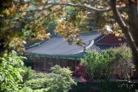 安國寺