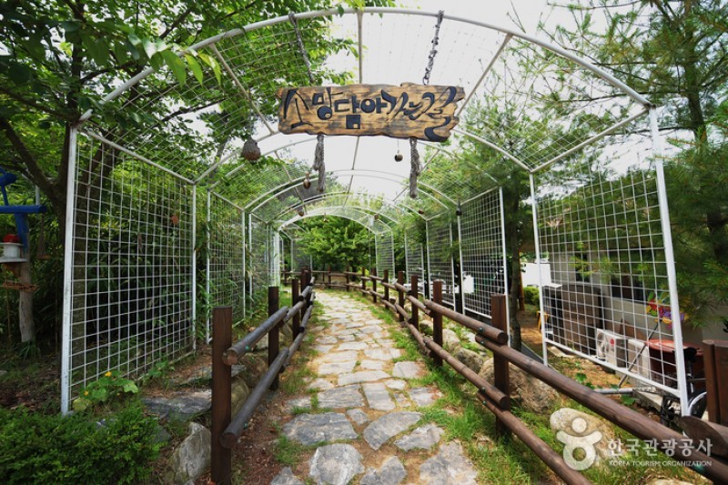 錦江堤壩 (1/12)