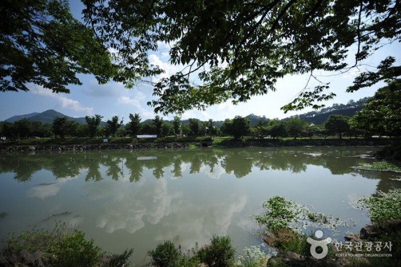 四仙臺旅遊區&amp;雕刻公園 (7/14)
