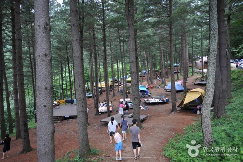 德裕山自然休養林