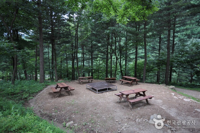 德裕山自然休養林