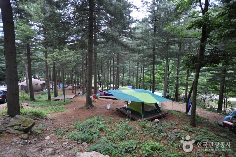 德裕山自然休養林