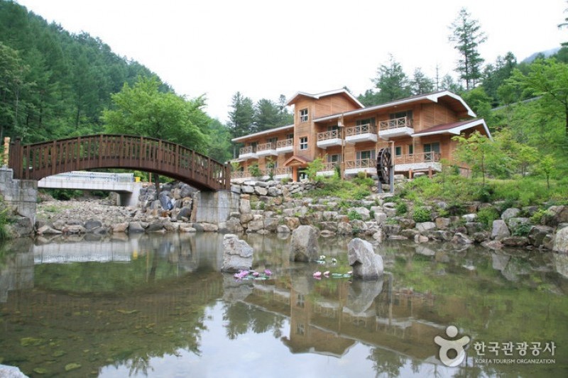 德裕山自然休養林