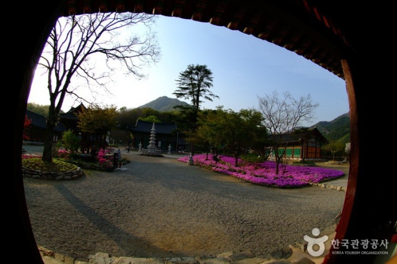 松廣寺 (13/15)