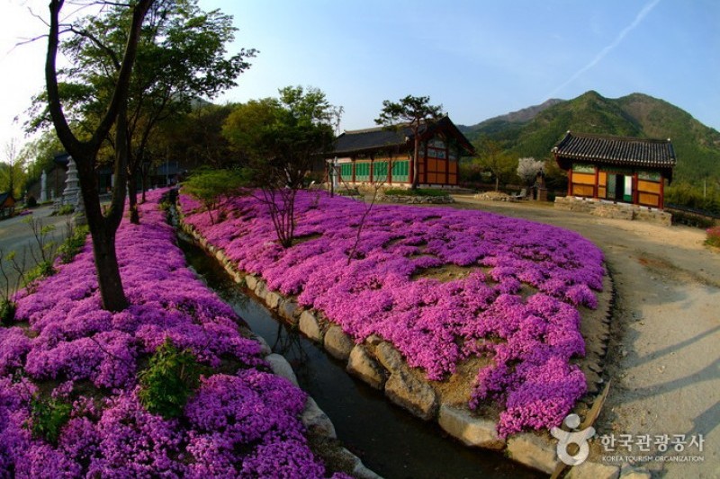 松廣寺 (14/15)