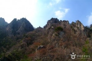 大芚山道立公園
