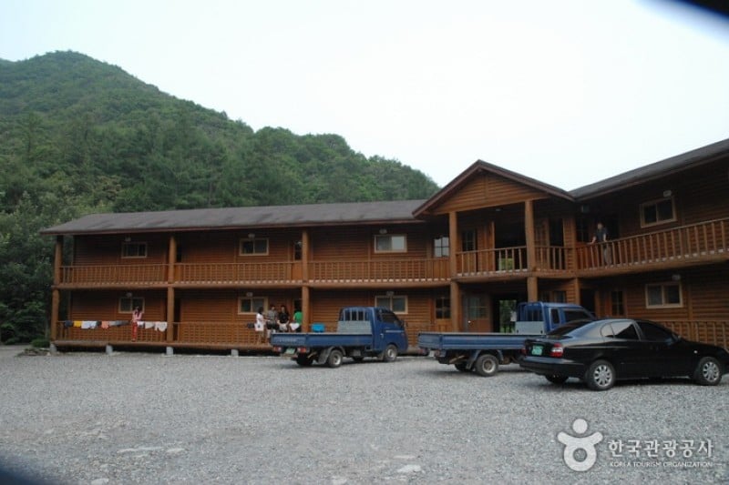 高山自然休養林 (1/23)