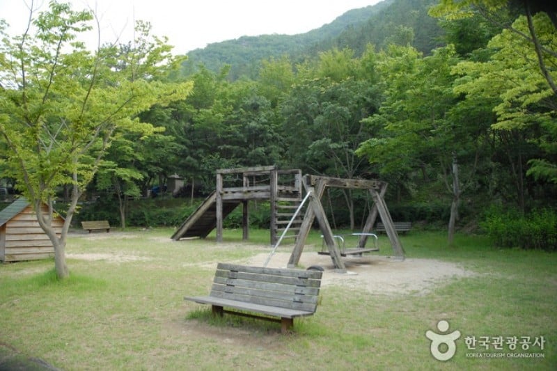 高山自然休養林 (7/23)