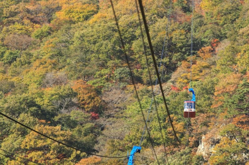 內藏山纜車(내장산 케이블카) (7/43)