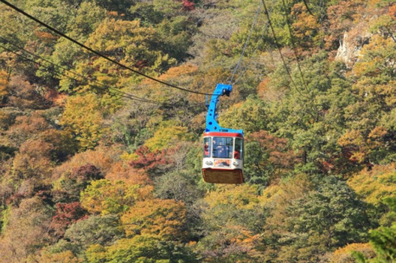 內藏山纜車(내장산 케이블카) (8/43)
