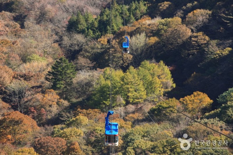 內藏山纜車(내장산 케이블카) (18/43)
