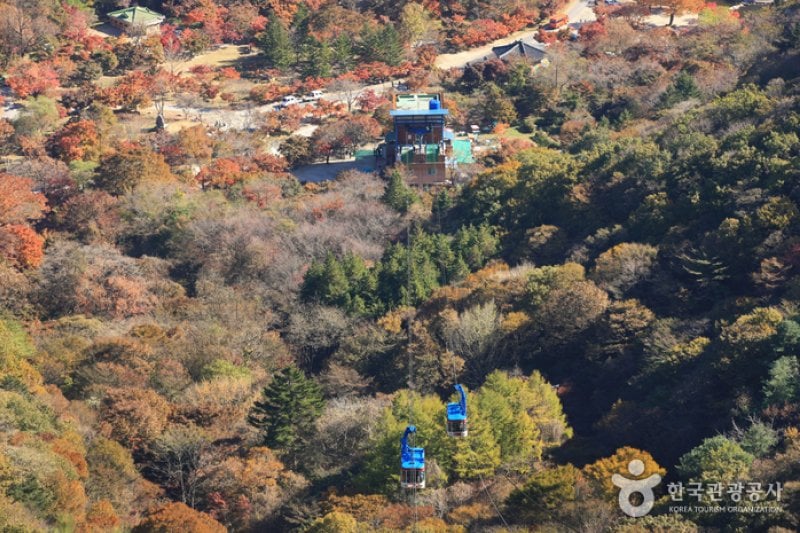 內藏山纜車(내장산 케이블카) (19/43)