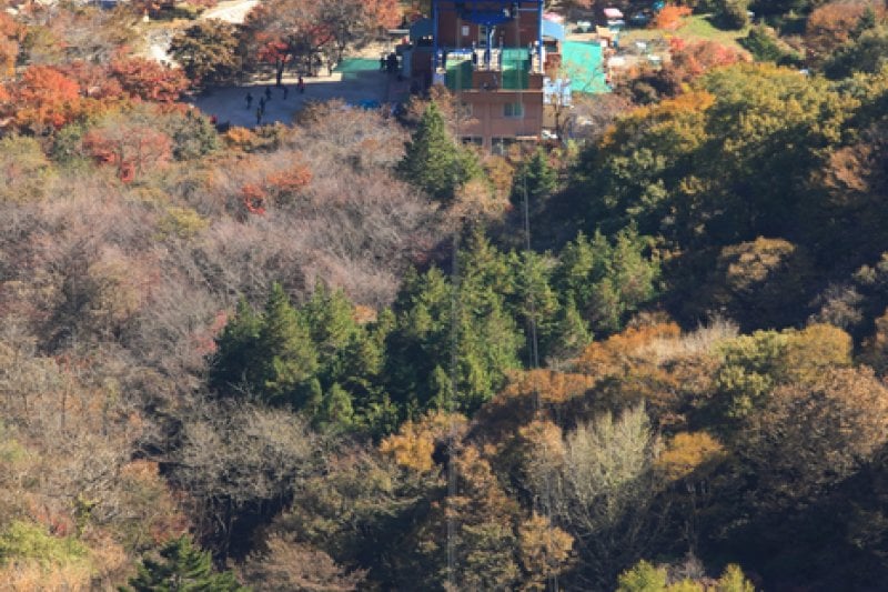 內藏山纜車(내장산 케이블카) (20/43)