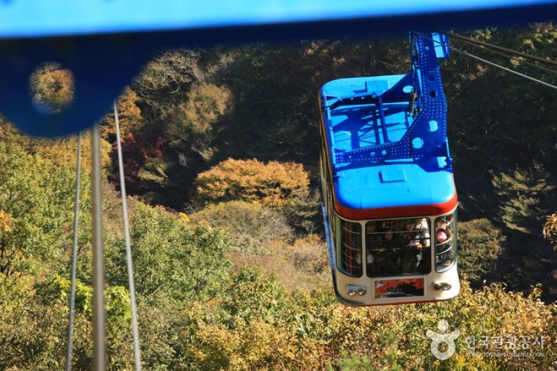 內藏山纜車(내장산 케이블카) (21/43)