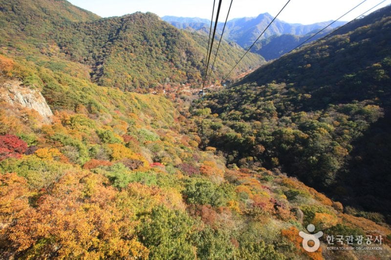 內藏山纜車(내장산 케이블카) (25/43)