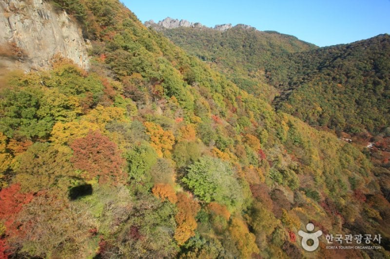 內藏山纜車(내장산 케이블카) (26/43)