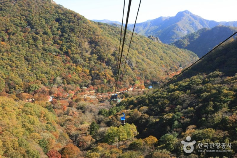 內藏山纜車(내장산 케이블카) (27/43)