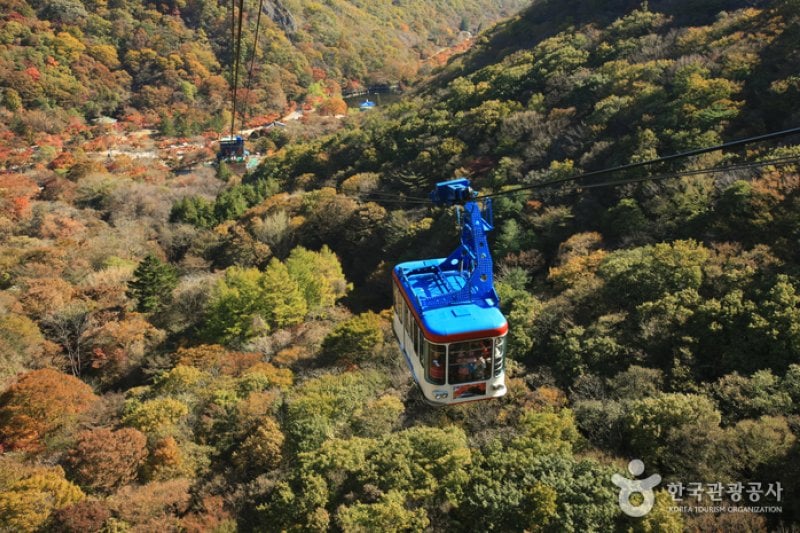 內藏山纜車(내장산 케이블카) (28/43)
