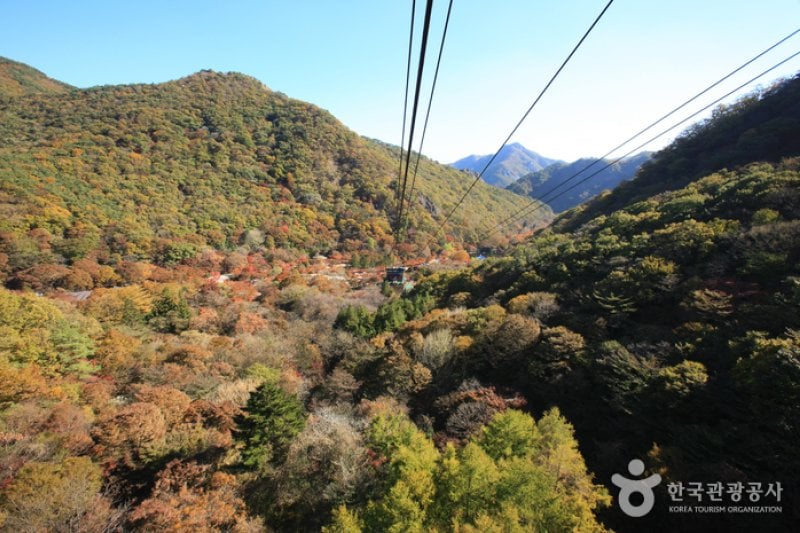 內藏山纜車(내장산 케이블카) (29/43)