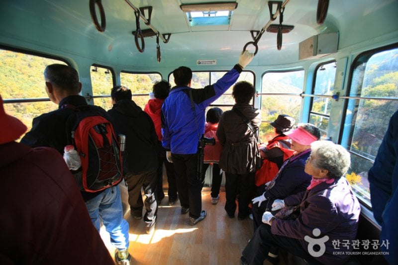 內藏山纜車(내장산 케이블카) (30/43)