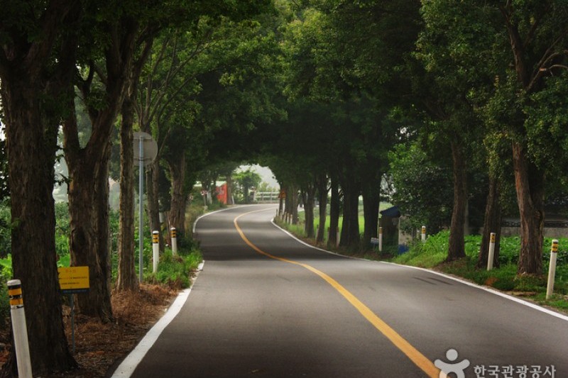 母岳山道立公園