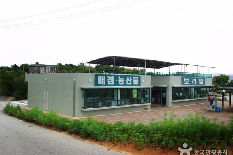 大麥國度農場