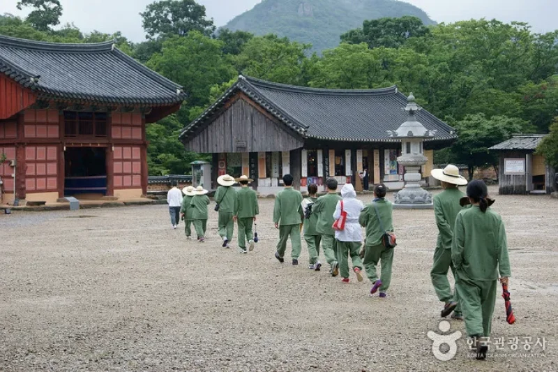 禪雲寺山寺體驗 (3/12)