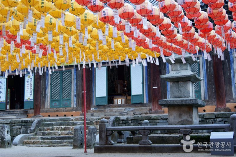 禪雲寺山寺體驗 (11/12)