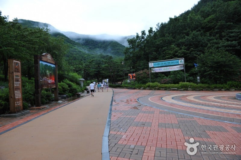 大雅樹木園 (7/16)