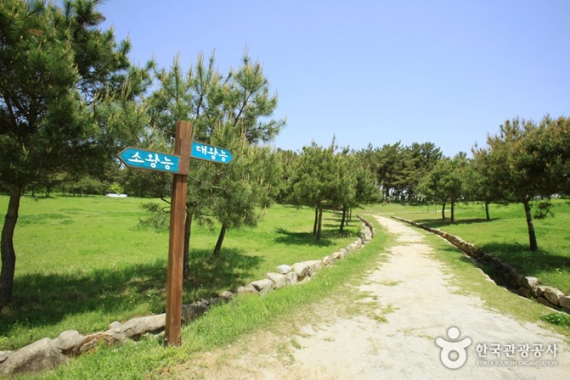 益山雙陵 (1/16)