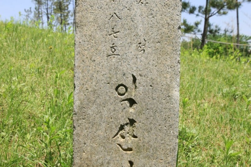 益山雙陵 (5/16)