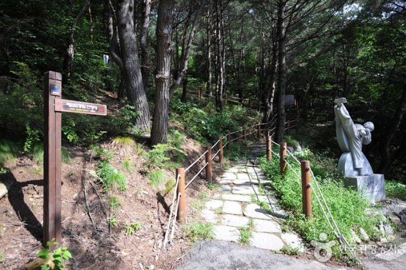 跆拳道公園展望臺 (2/9)
