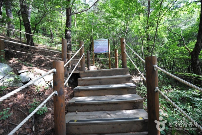 跆拳道公園展望臺 (3/9)