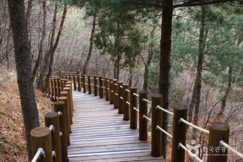 跆拳道公園展望臺 (6/9)
