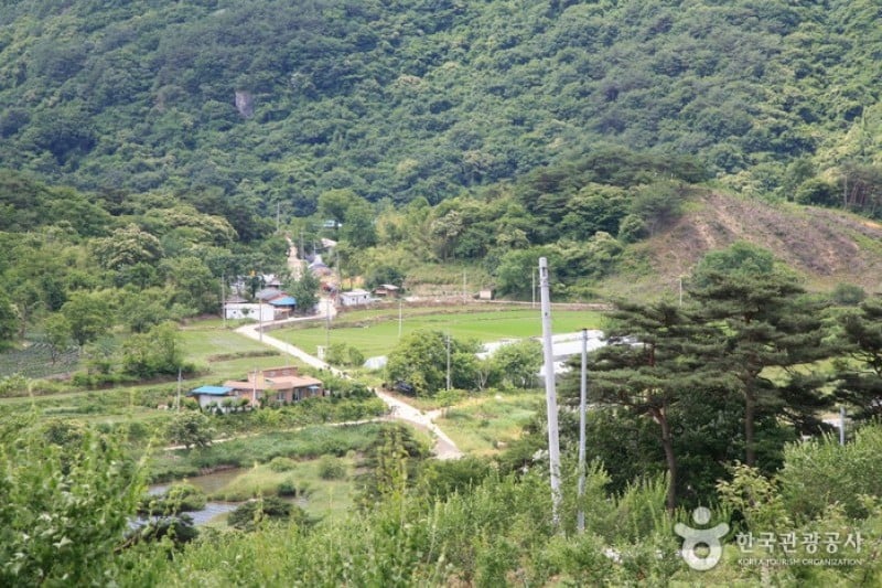 九潭村 (1/14)