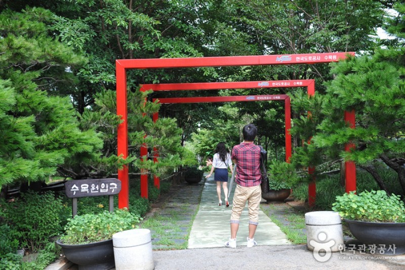 韓國道路公社樹木園 (5/13)
