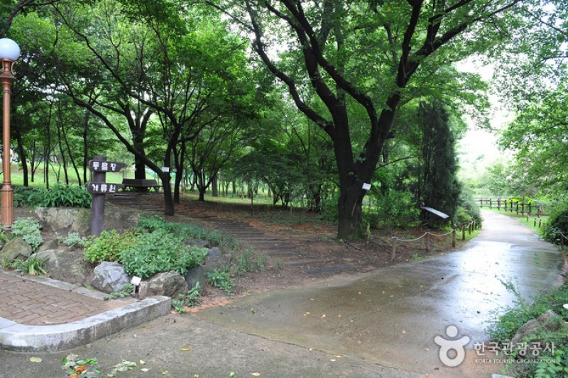 韓國道路公社樹木園 (6/13)