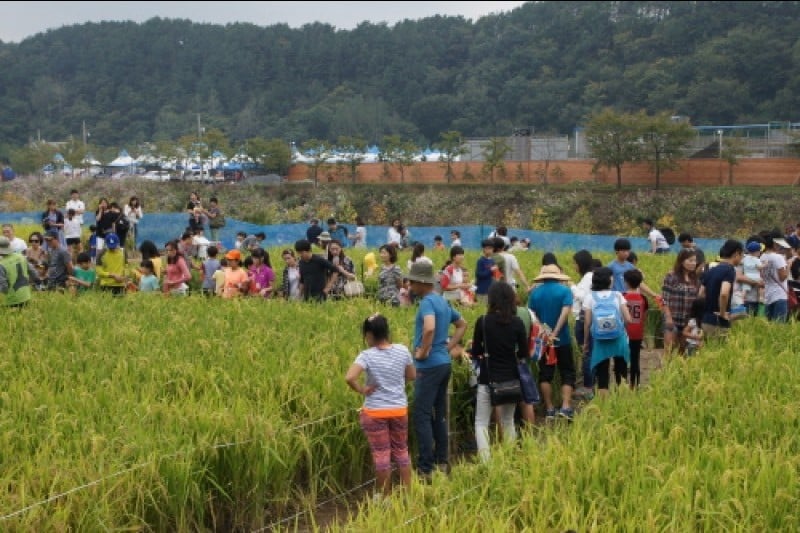 完州Wild Food慶典 (9/11)