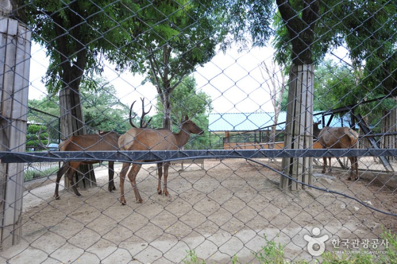 全州動物園