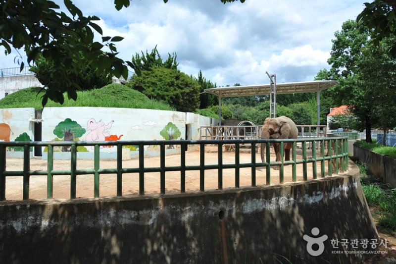 全州動物園