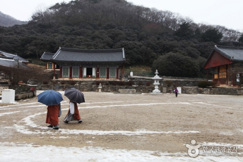 禪雲山道立公園 (1/46)