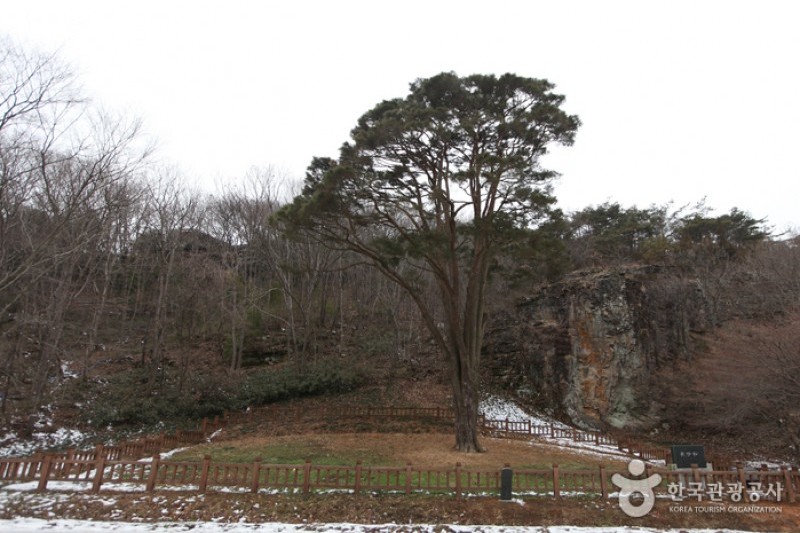 禪雲山道立公園 (6/46)