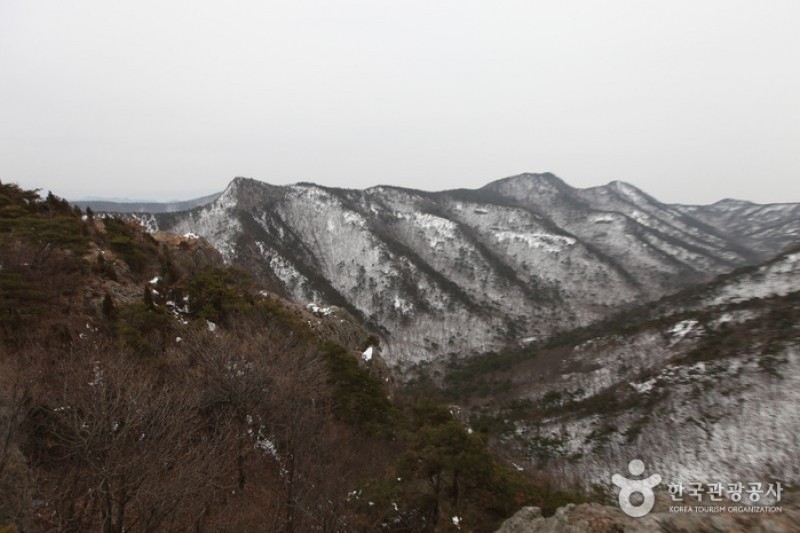 禪雲山道立公園 (11/46)