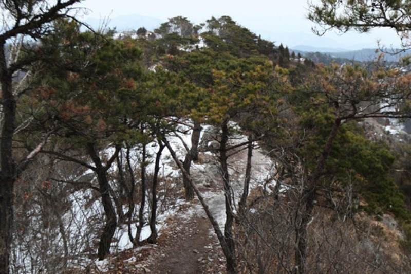 禪雲山道立公園 (13/46)