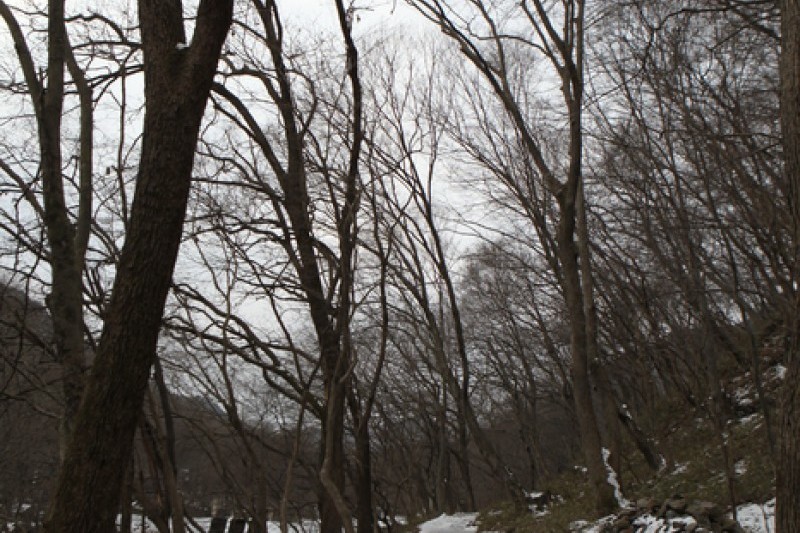 禪雲山道立公園 (29/46)