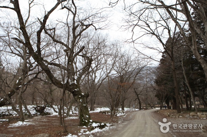 禪雲山道立公園 (32/46)