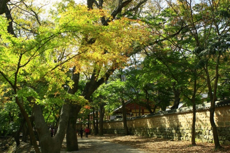 禪雲山道立公園 (35/46)