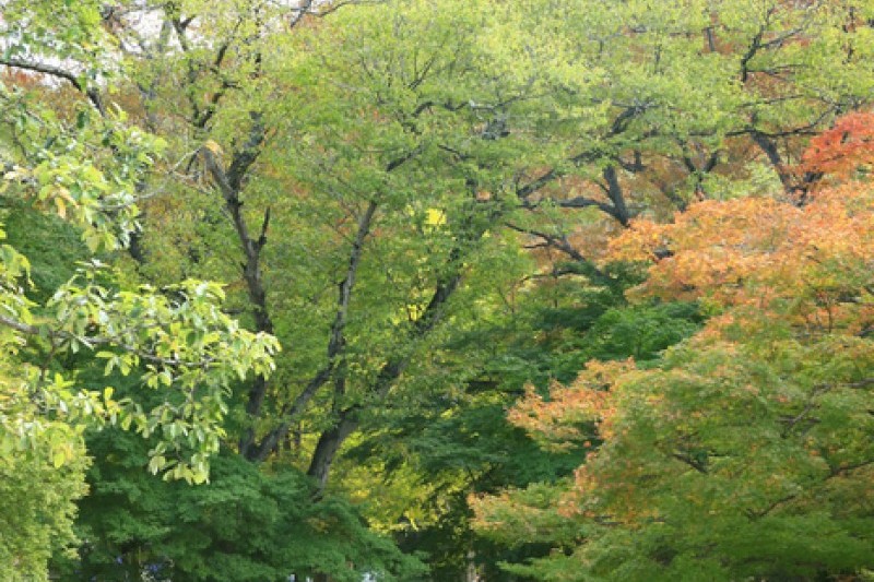 禪雲山道立公園 (36/46)