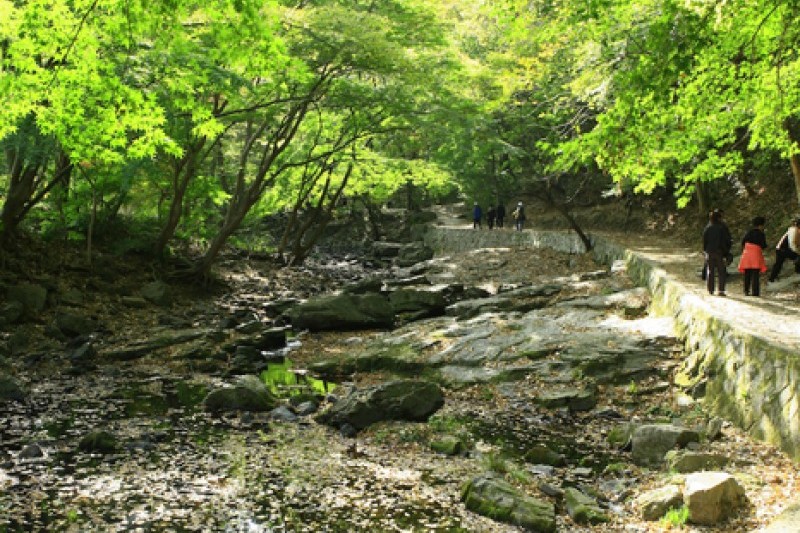 禪雲山道立公園 (37/46)