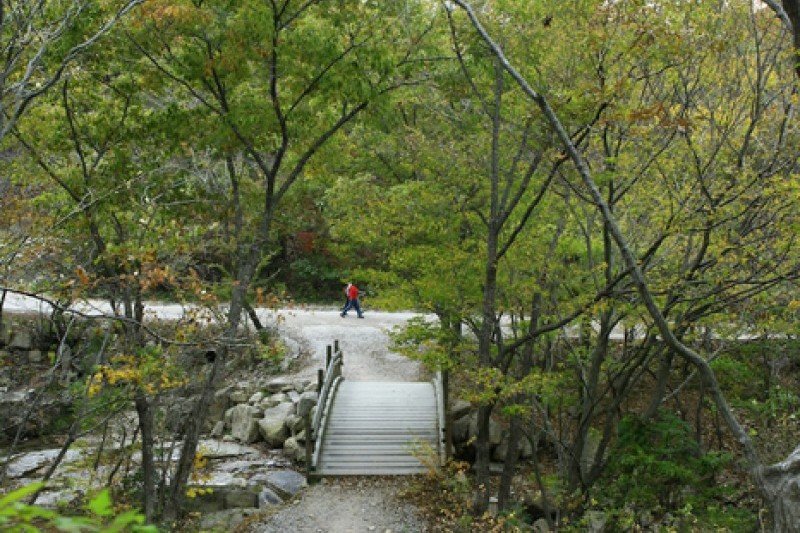 禪雲山道立公園 (39/46)